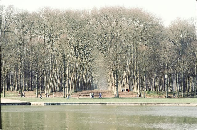 Der Große Kanal — GÄRTEN